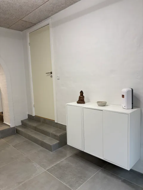 Indgangen med tre trin i samme grå storformatfliser som gulvet, et hvidt indbygget skab og en håndspritdispenser på væggen.